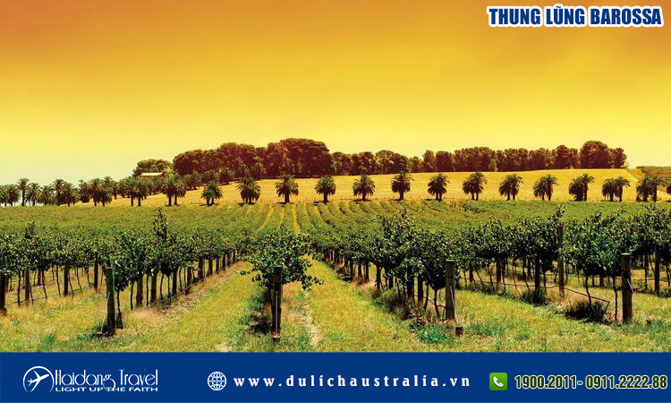 Thung lũng Barossa