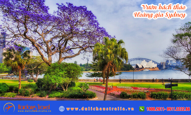 Vườn bách thảo Hoàng gia Sydney 